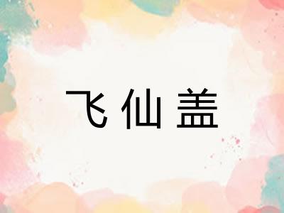 飞仙盖