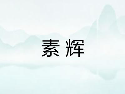 素辉