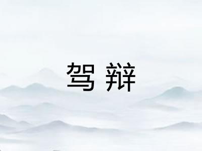 驾辩