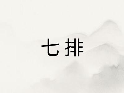七排