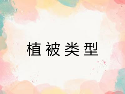 植被类型
