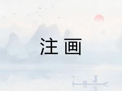 注画