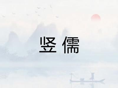竖儒