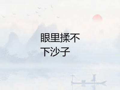 眼里揉不下沙子