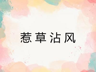 惹草沾风