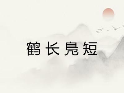 鹤长鳬短