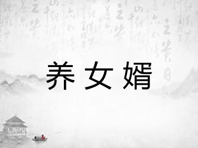 养女婿