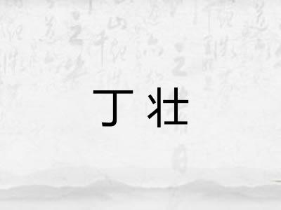 丁壮