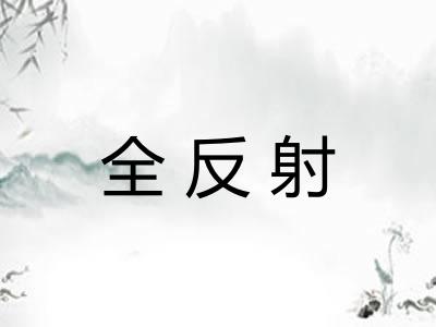 全反射