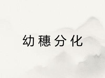 幼穗分化