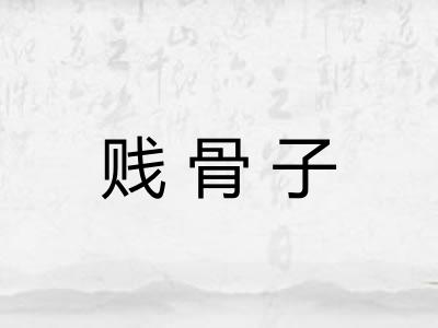 贱骨子