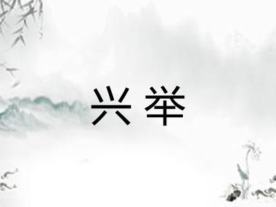 兴举