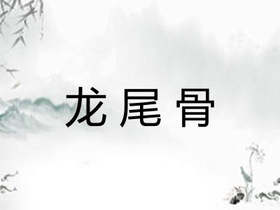 龙尾骨