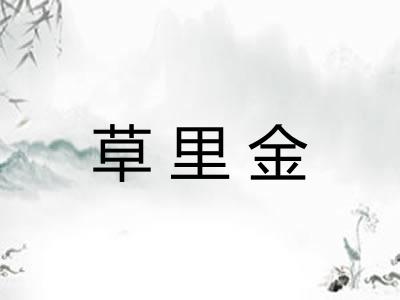 草里金