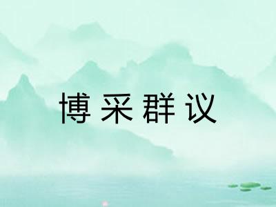博采群议