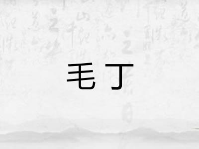 毛丁