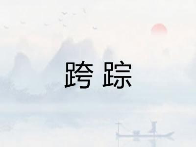 跨踪