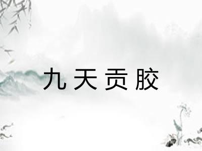 九天贡胶