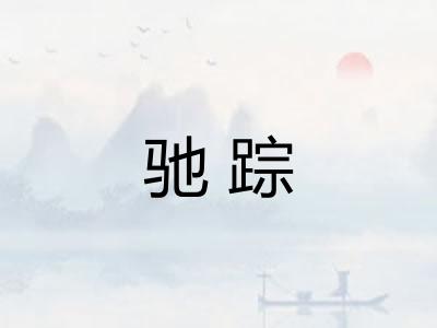驰踪