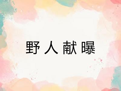 野人献曝