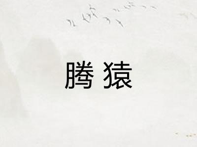 腾猿