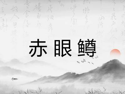 赤眼鳟