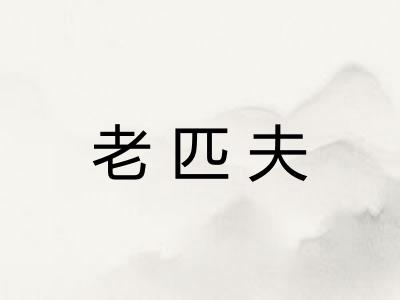 老匹夫