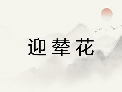 迎辇花