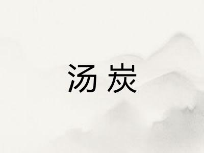 汤炭
