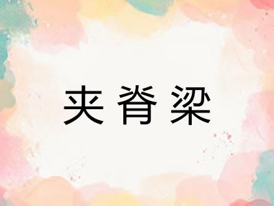 夹脊梁