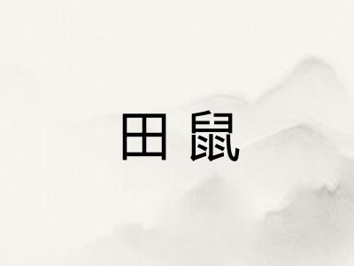 田鼠