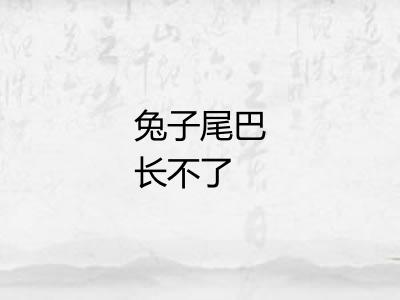 兔子尾巴长不了