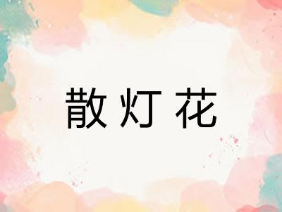 散灯花