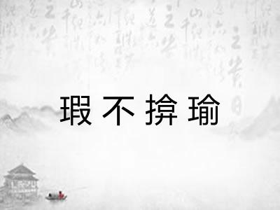 瑕不揜瑜
