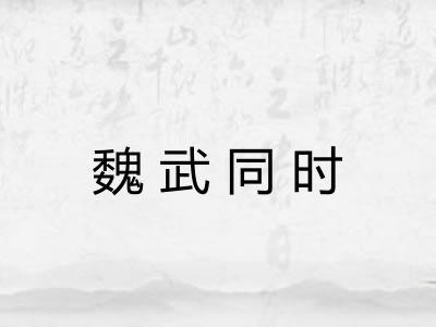 魏武同时