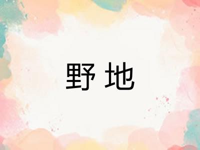 野地
