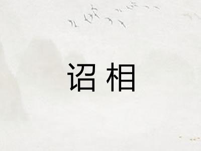 诏相