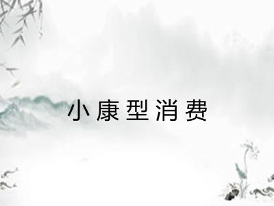 小康型消费