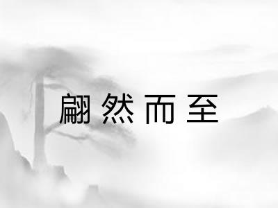 翩然而至