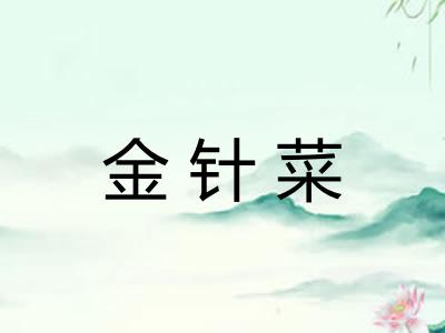 金针菜