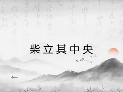 柴立其中央