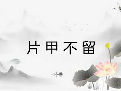片甲不留