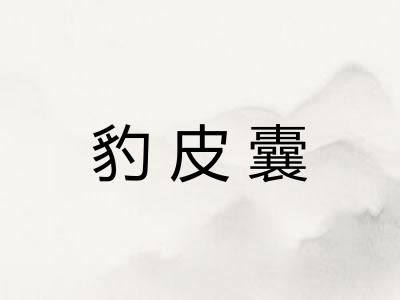 豹皮囊