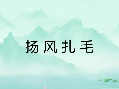 扬风扎毛