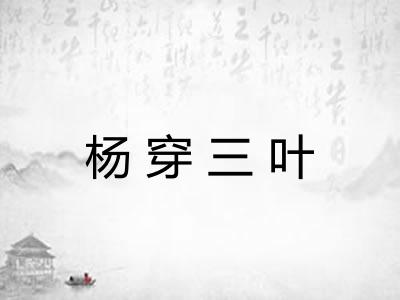 杨穿三叶