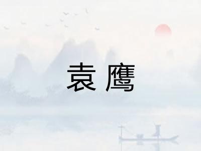 袁鹰