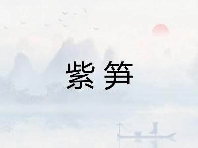 紫笋