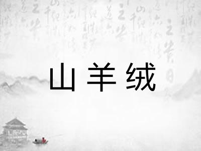 山羊绒