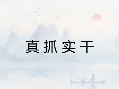 真抓实干