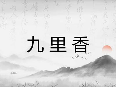九里香